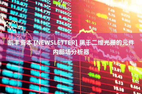 凯丰资本 [NEWSLETTER] 用于二维光栅的元件内部场分析器