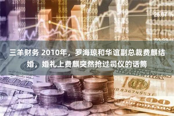 三羊财务 2010年,罗海琼和华谊副总裁费麒结婚,婚礼上费麒突然抢过司仪的话筒