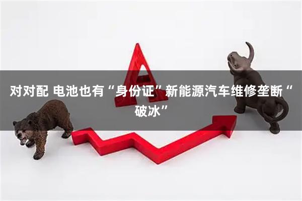 对对配 电池也有“身份证”新能源汽车维修垄断“破冰”
