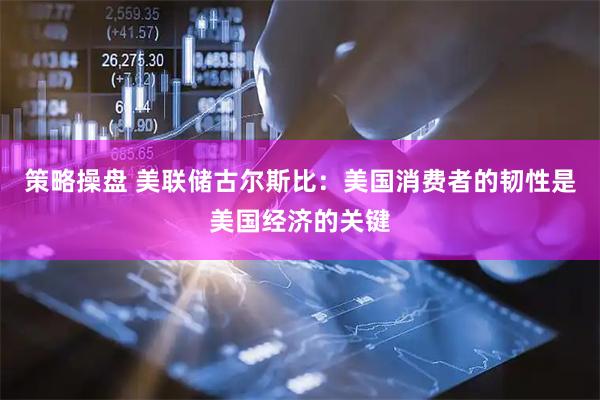策略操盘 美联储古尔斯比：美国消费者的韧性是美国经济的关键