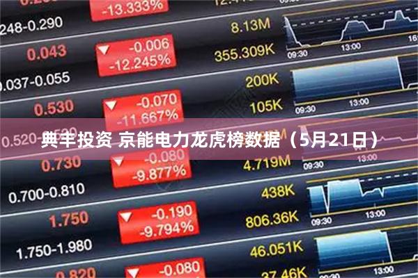 典丰投资 京能电力龙虎榜数据（5月21日）