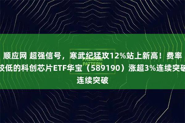 顺应网 超强信号，寒武纪猛攻12%站上新高！费率较低的科创芯片ETF华宝（589190）涨超3%连续突破