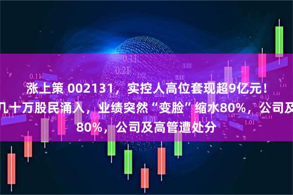 涨上策 002131，实控人高位套现超9亿元！股价翻倍，几十万股民涌入，业绩突然“变脸”缩水80%，公司及高管遭处分