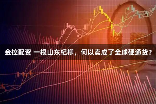 金控配资 一根山东杞柳，何以卖成了全球硬通货？