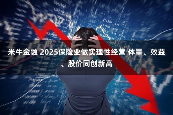 米牛金融 2025保险业做实理性经营 体量、效益、股价同创新高
