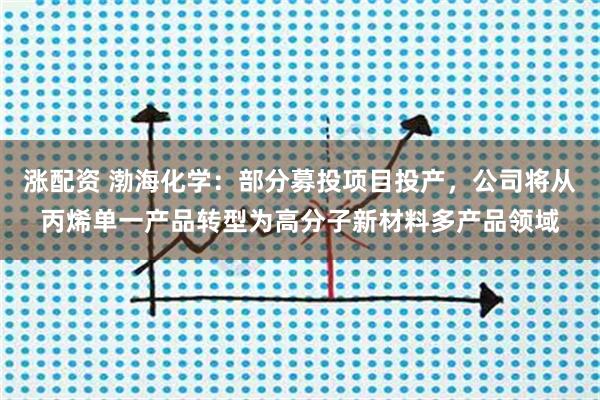 涨配资 渤海化学：部分募投项目投产，公司将从丙烯单一产品转型为高分子新材料多产品领域