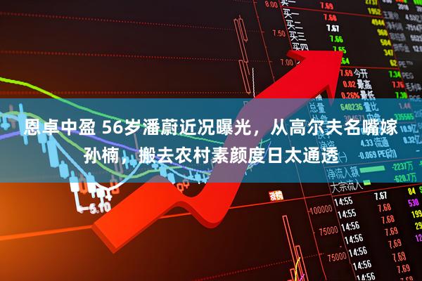 恩卓中盈 56岁潘蔚近况曝光，从高尔夫名嘴嫁孙楠，搬去农村素颜度日太通透