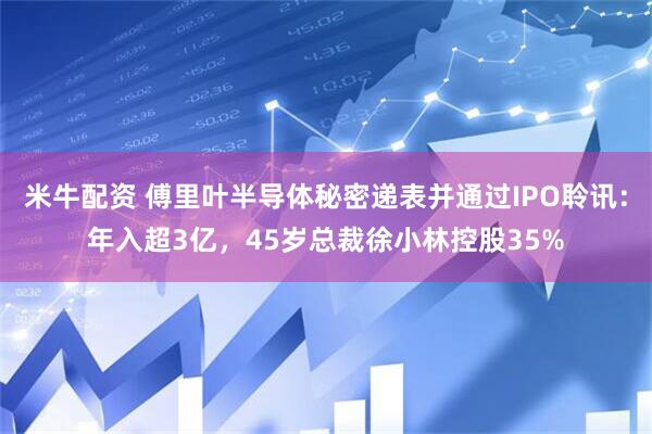 米牛配资 傅里叶半导体秘密递表并通过IPO聆讯：年入超3亿，45岁总裁徐小林控股35%