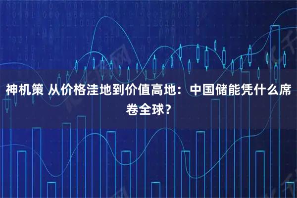 神机策 从价格洼地到价值高地：中国储能凭什么席卷全球？
