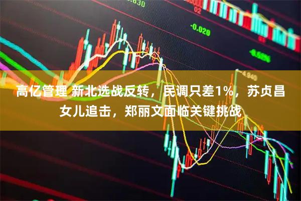 高亿管理 新北选战反转，民调只差1%，苏贞昌女儿追击，郑丽文面临关键挑战